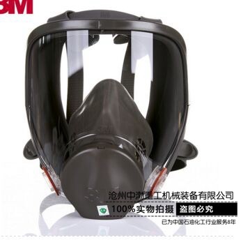 煙臺雙罐式面罩6800#